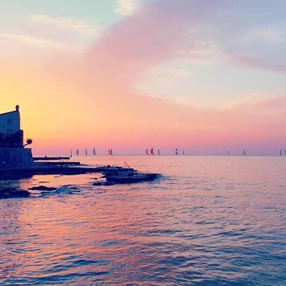 Apartmani Marina Poreč Exteriér fotografie