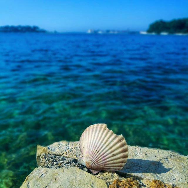 Apartmani Marina Poreč Exteriér fotografie